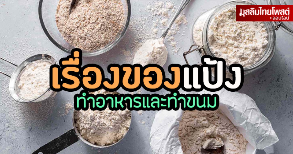 เรื่องของแป้ง แป้งทำขนม แป้งทำอาหาร