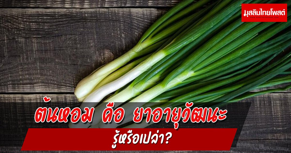 ต้นหอม คือ ยาอายุวัฒนะ รู้หรือเปล่า?