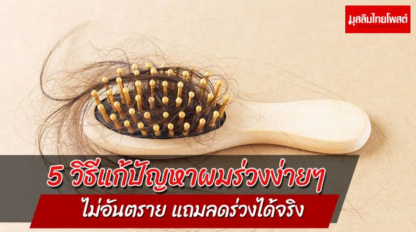 5 วิธีแก้ปัญหาผมร่วงง่ายๆ ไม่อันตราย แถมลดร่วงได้จริง